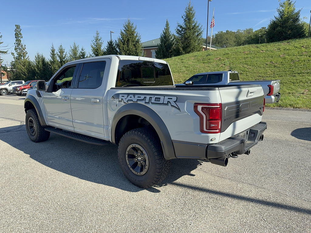 2017 Ford F-150 Raptor Avalanche Gray at Woltz & Wind Ford