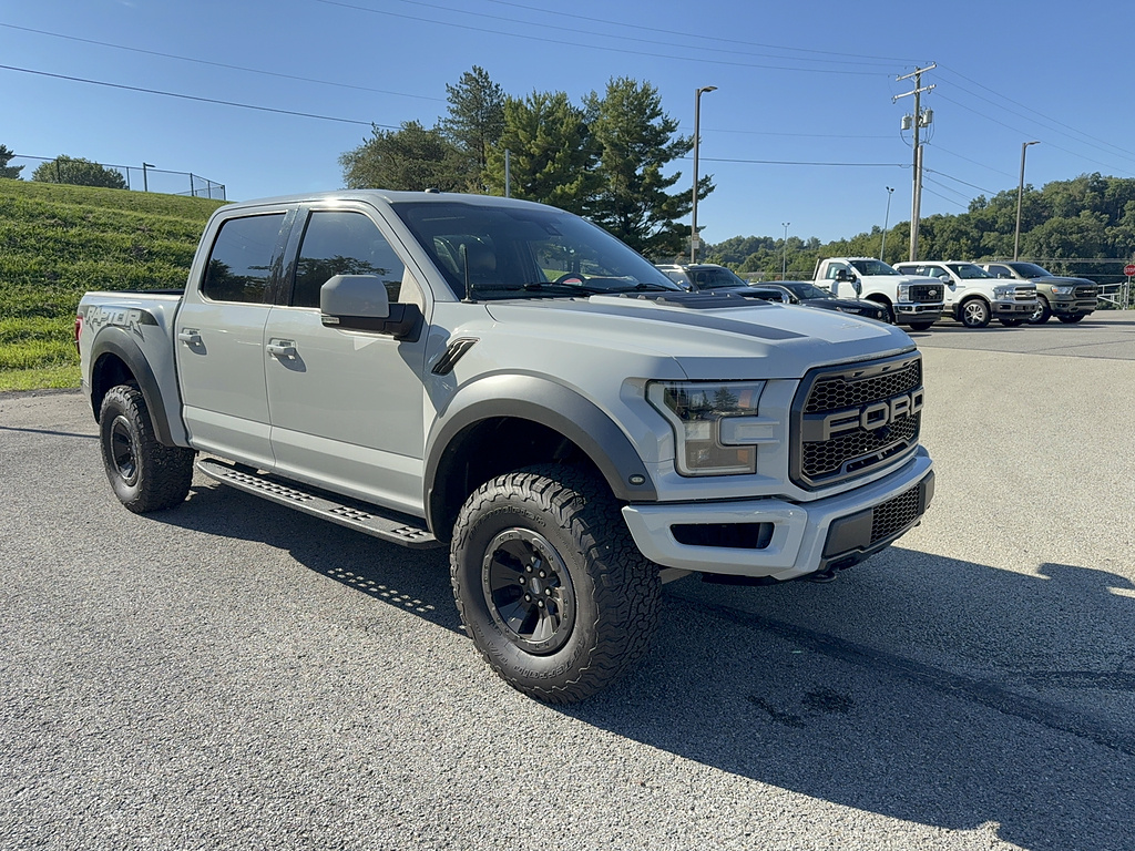 2017 Ford F-150 Raptor Avalanche Gray at Woltz & Wind Ford