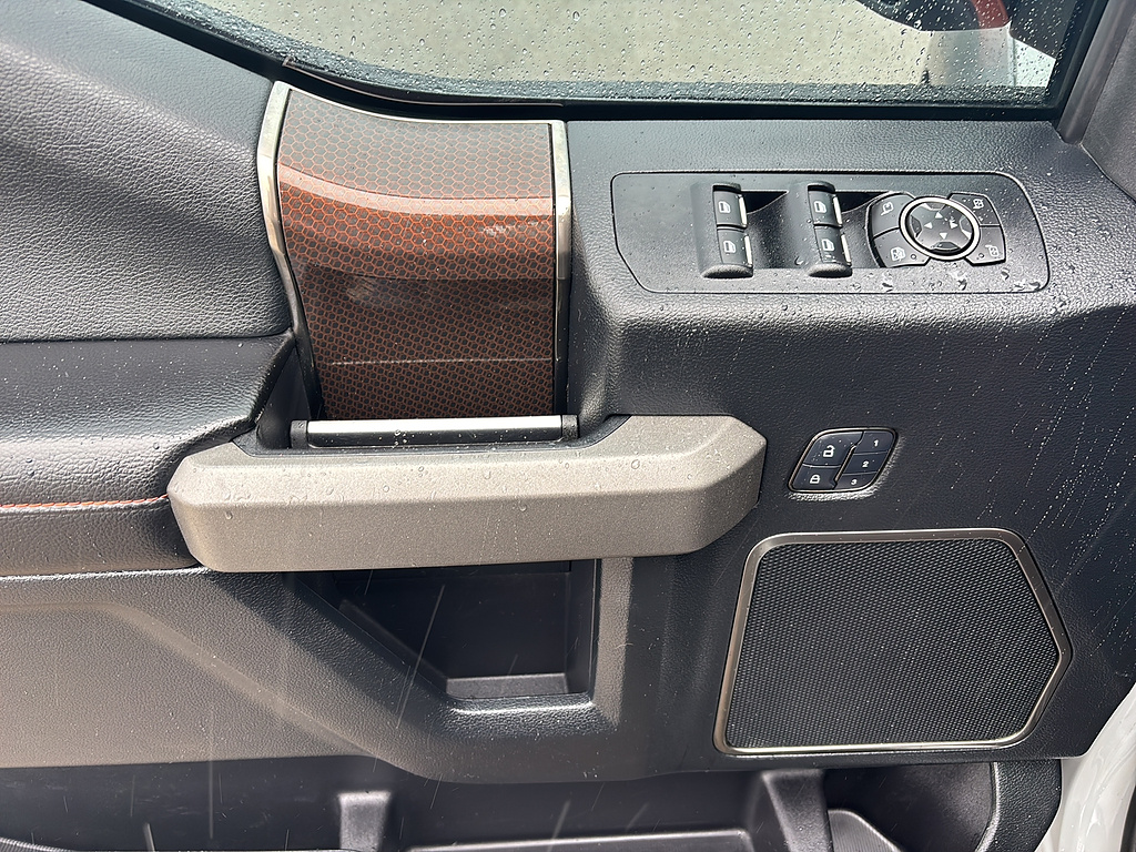 2017 Ford F-150 Raptor Avalanche Gray at Woltz & Wind Ford