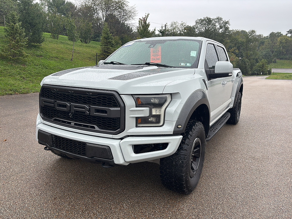 2017 Ford F-150 Raptor Avalanche Gray at Woltz & Wind Ford