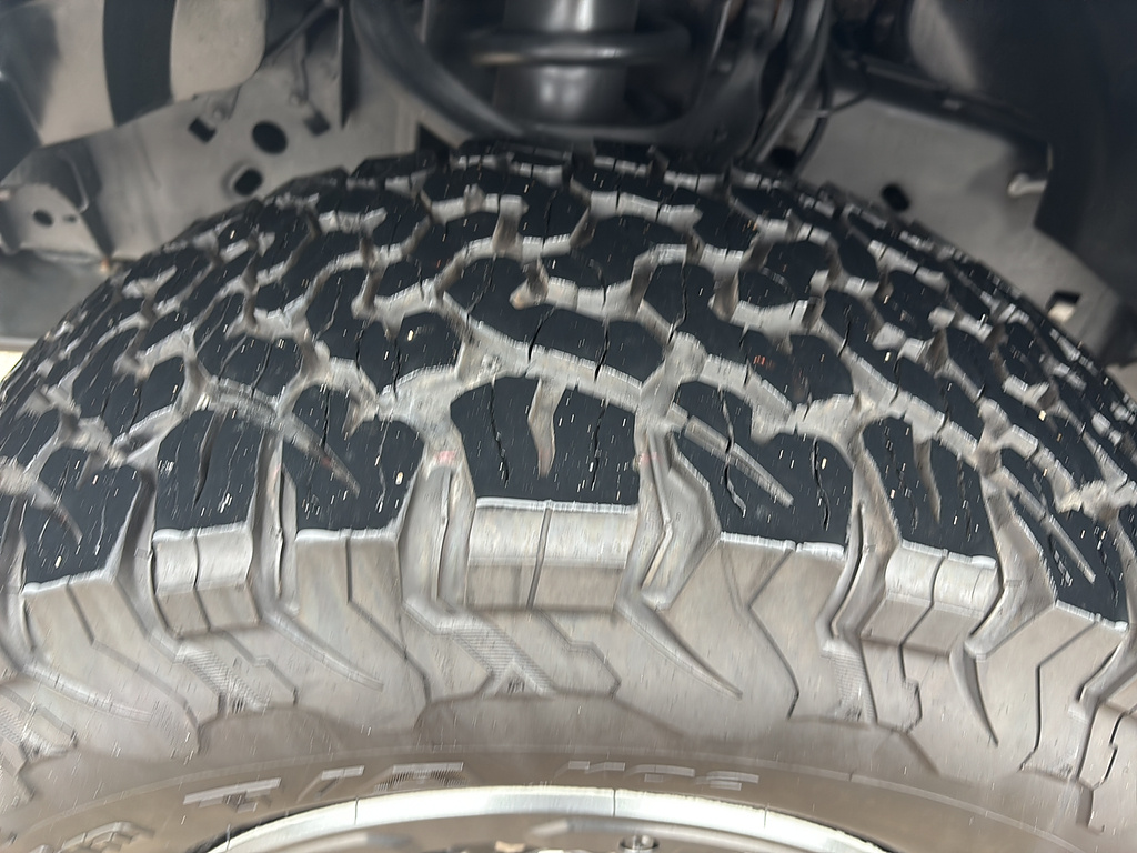 2017 Ford F-150 Raptor Avalanche Gray at Woltz & Wind Ford