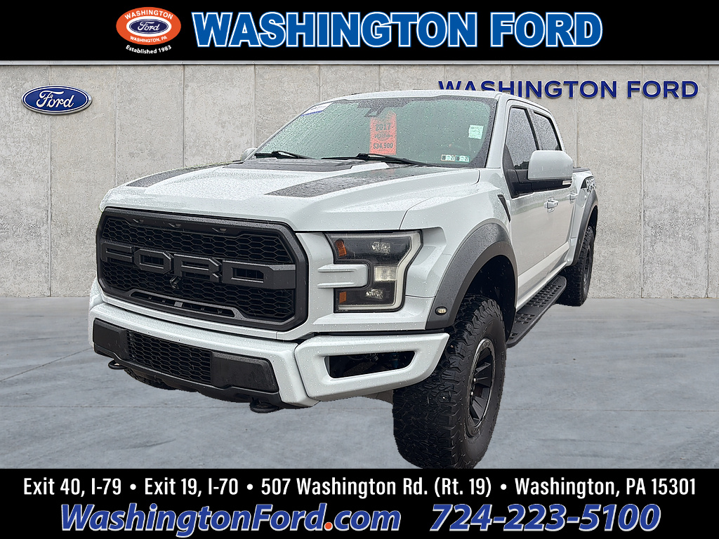 2017 Ford F-150 Raptor Avalanche Gray at Premiere Auto Sales