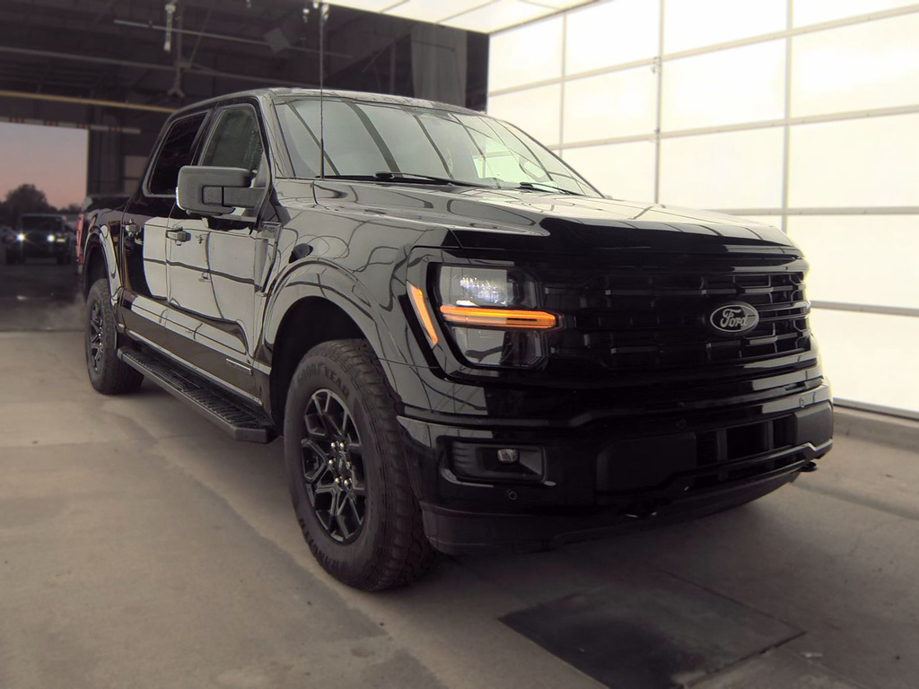 2024 Ford F-150 photo 4 of 15