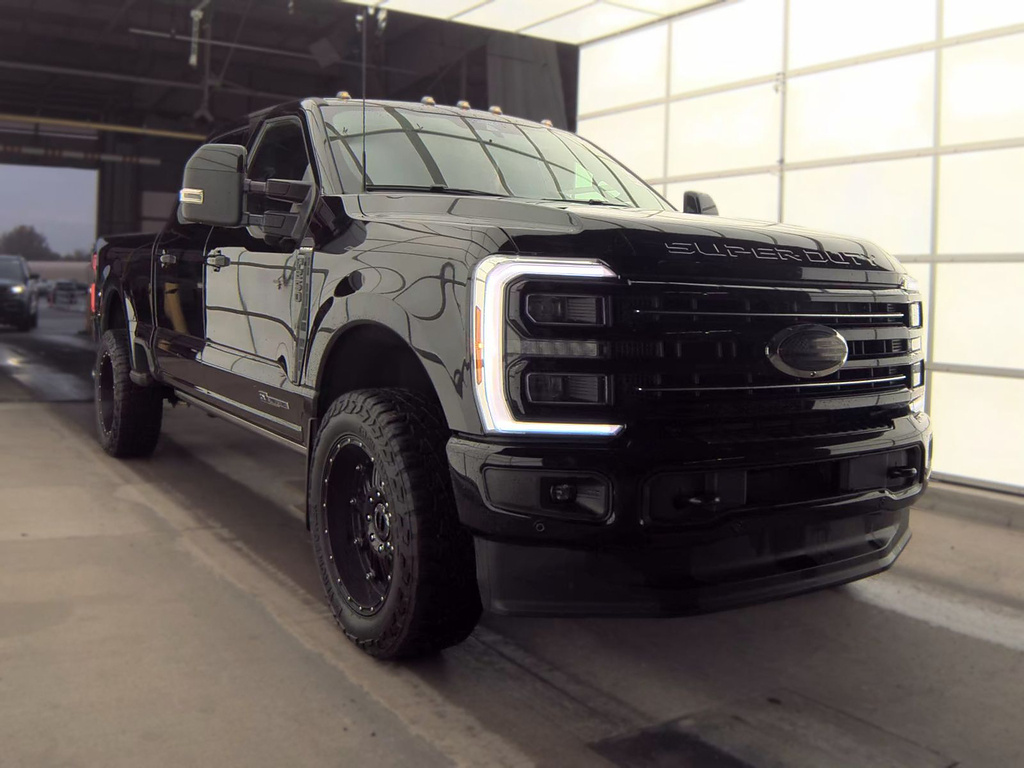 2025 Ford Super Duty F-250 SRW photo 3 of 17