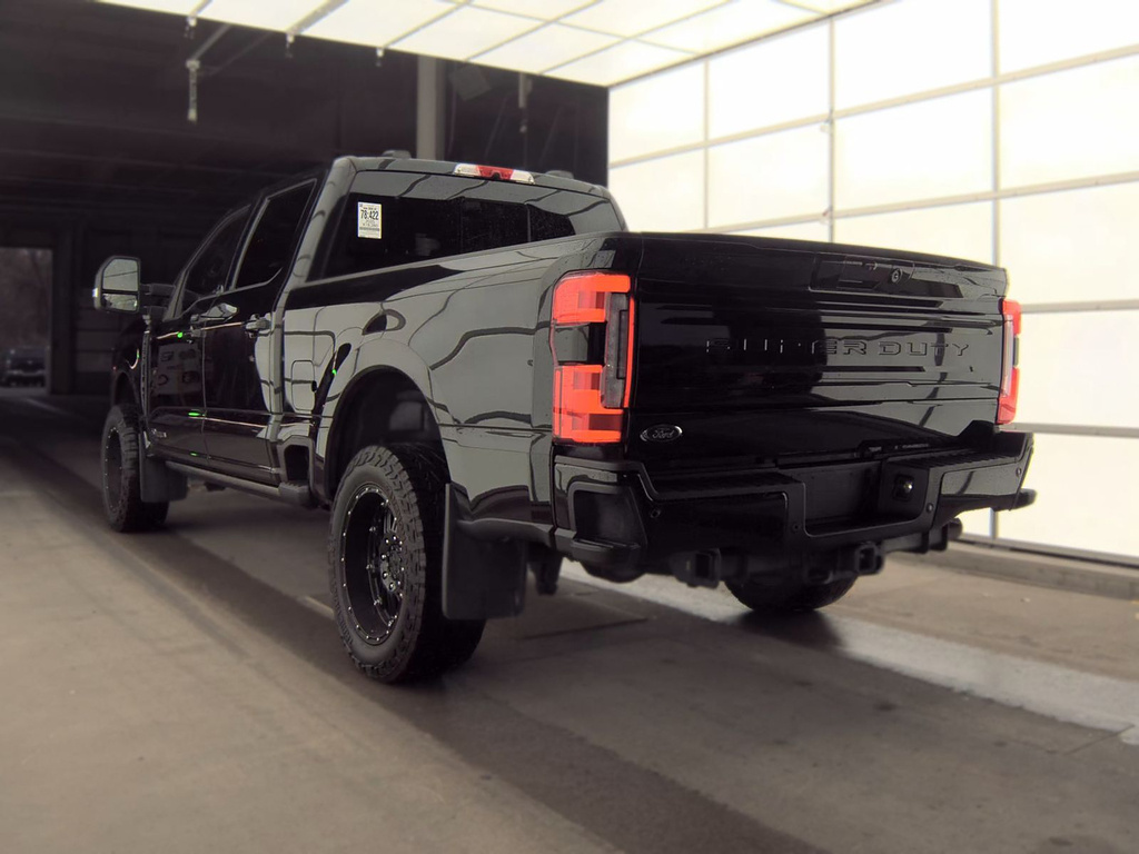 2025 Ford Super Duty F-250 SRW photo 8 of 17