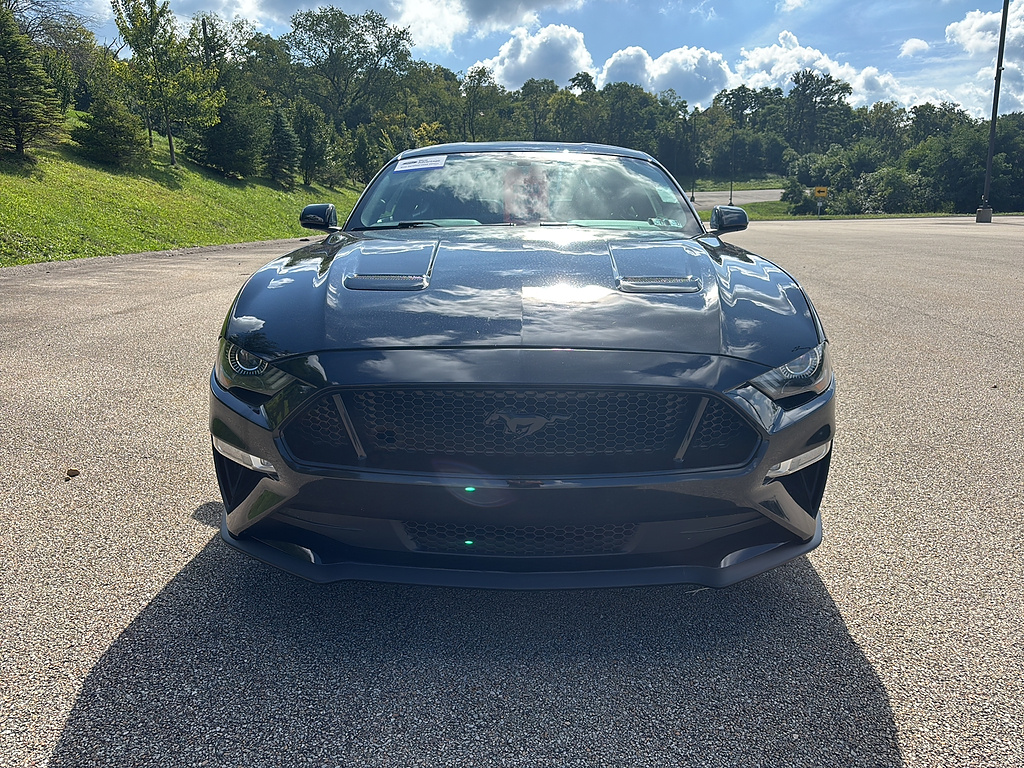 2020 Ford Mustang GT Shadow Black at Woltz & Wind Ford