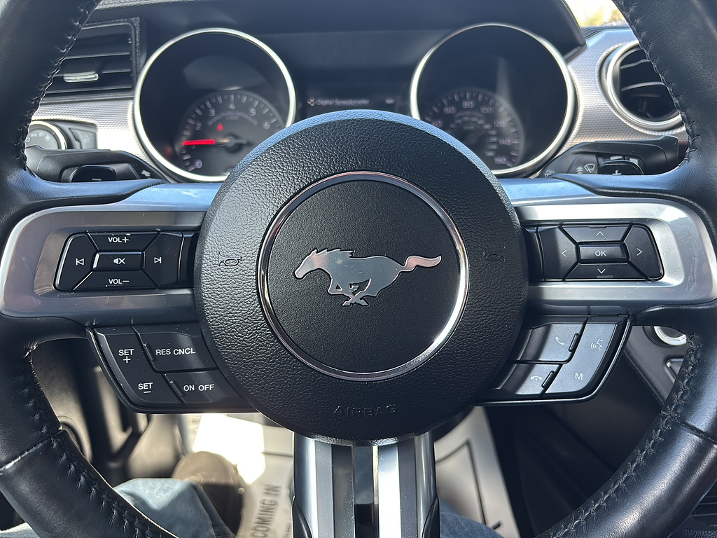 2020 Ford Mustang GT Shadow Black at Woltz & Wind Ford