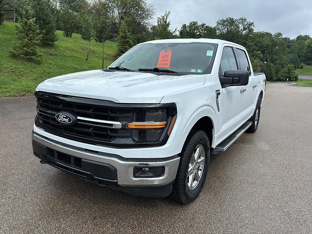 2025 Ford F-150 photo 8 of 27