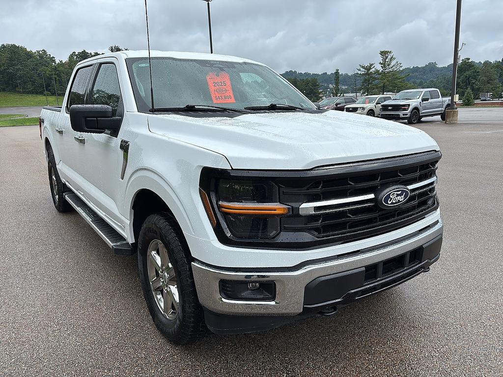 2025 Ford F-150 photo 6 of 27