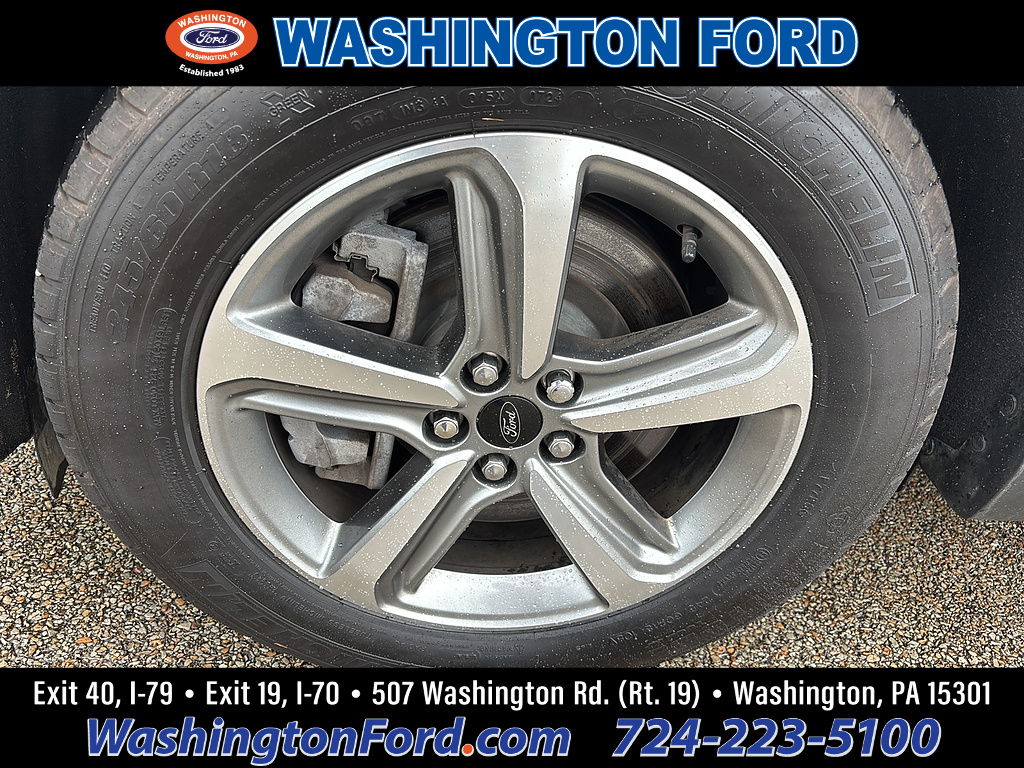 2024 Ford Edge SEL Forged Green at Woltz & Wind Ford