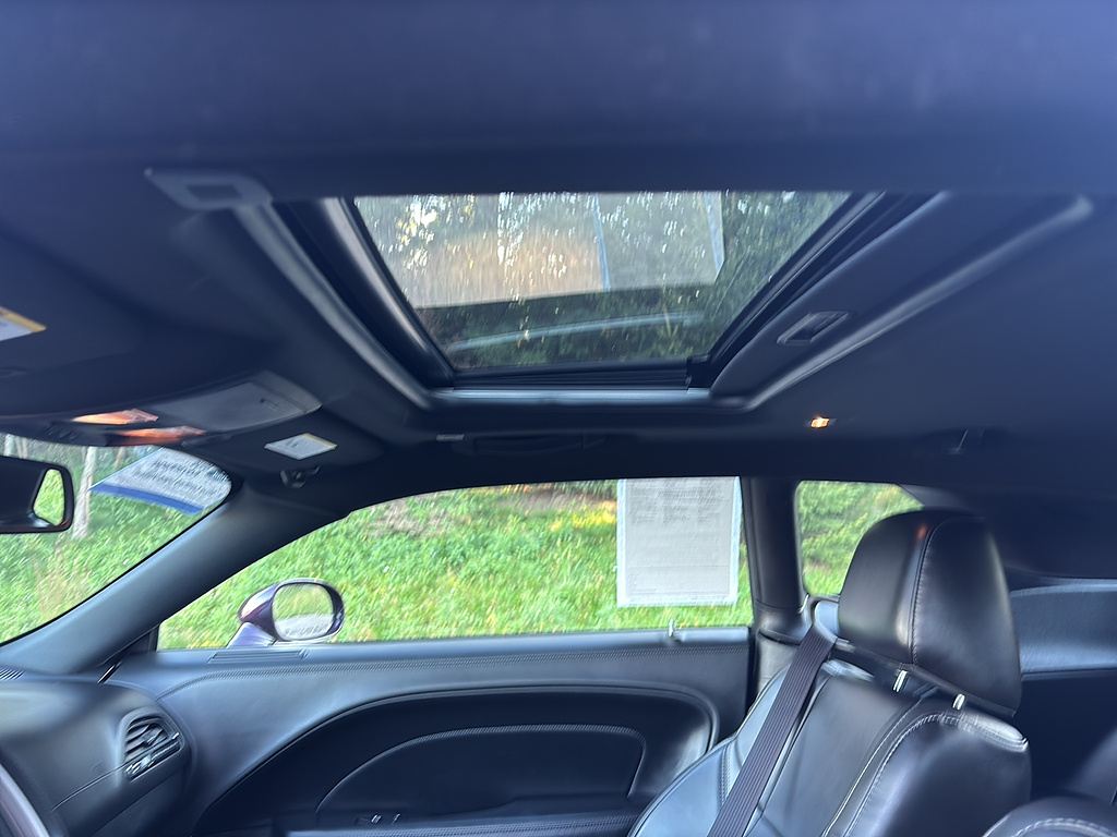 2021 Dodge Challenger photo 15 of 24