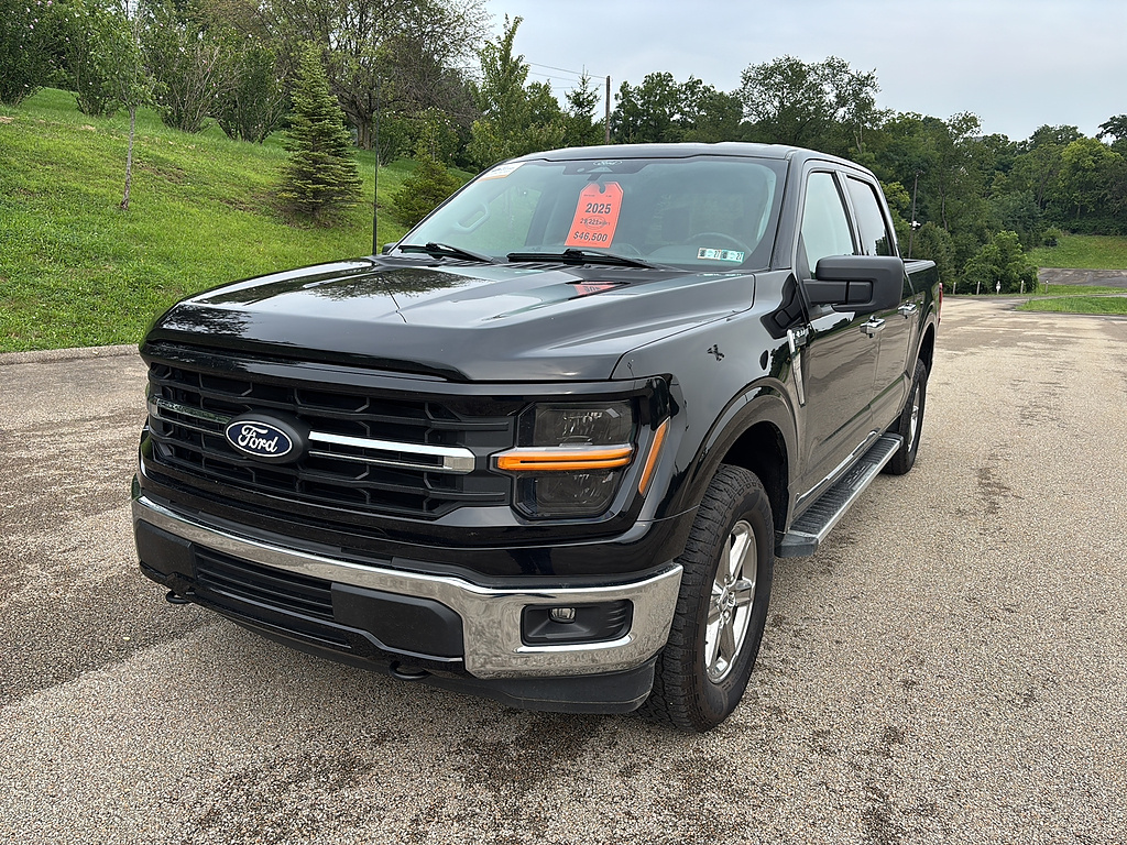 2025 Ford F-150 photo 8 of 27
