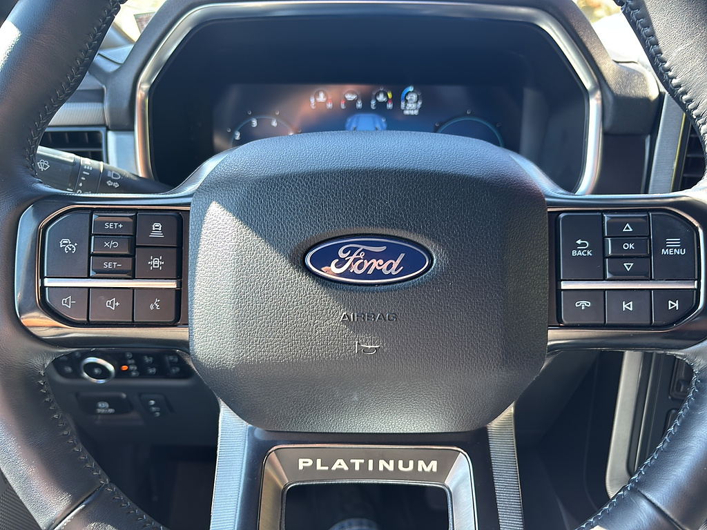 2025 Ford F-150 photo 26 of 27