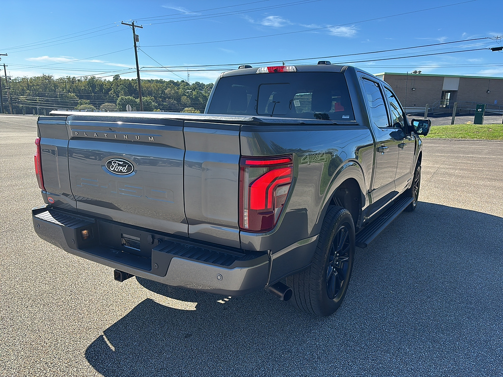 2025 Ford F-150 photo 4 of 27