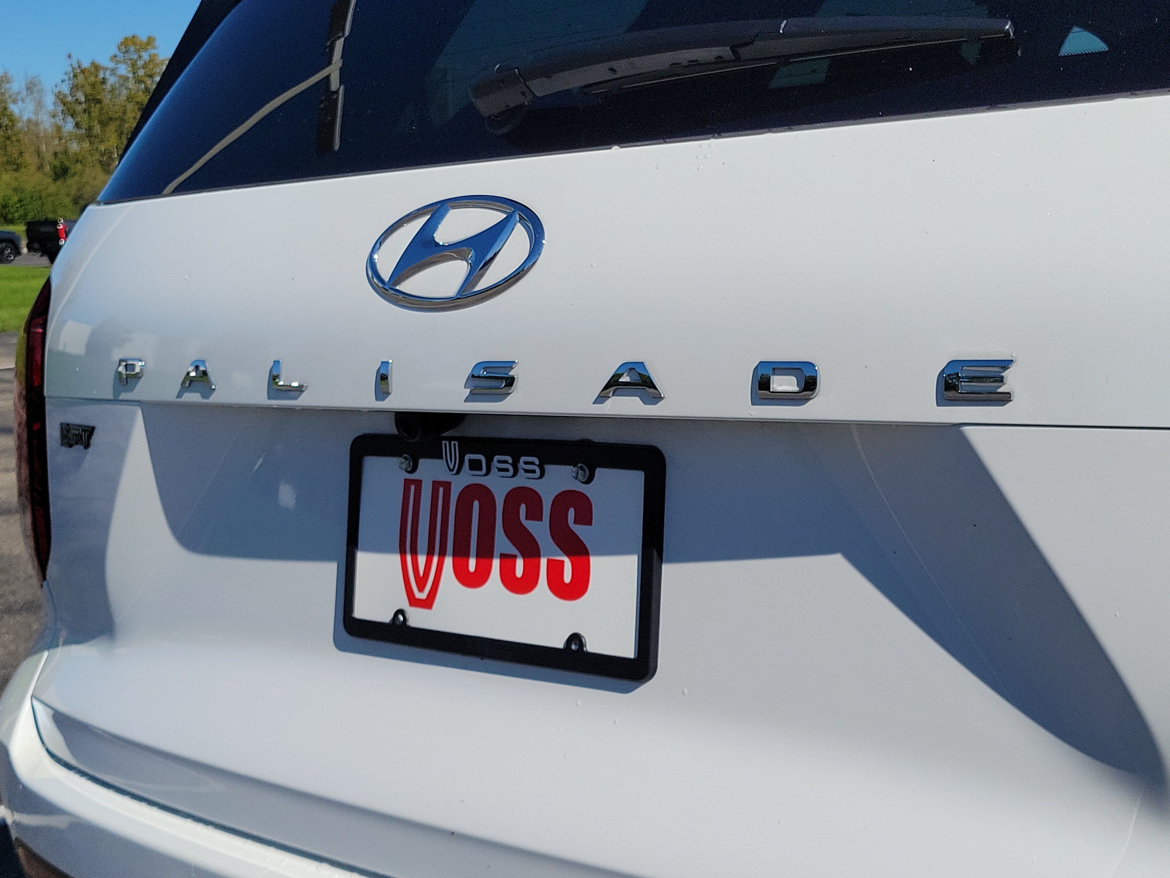 2025 Hyundai Palisade XRT, photo 10 of 12