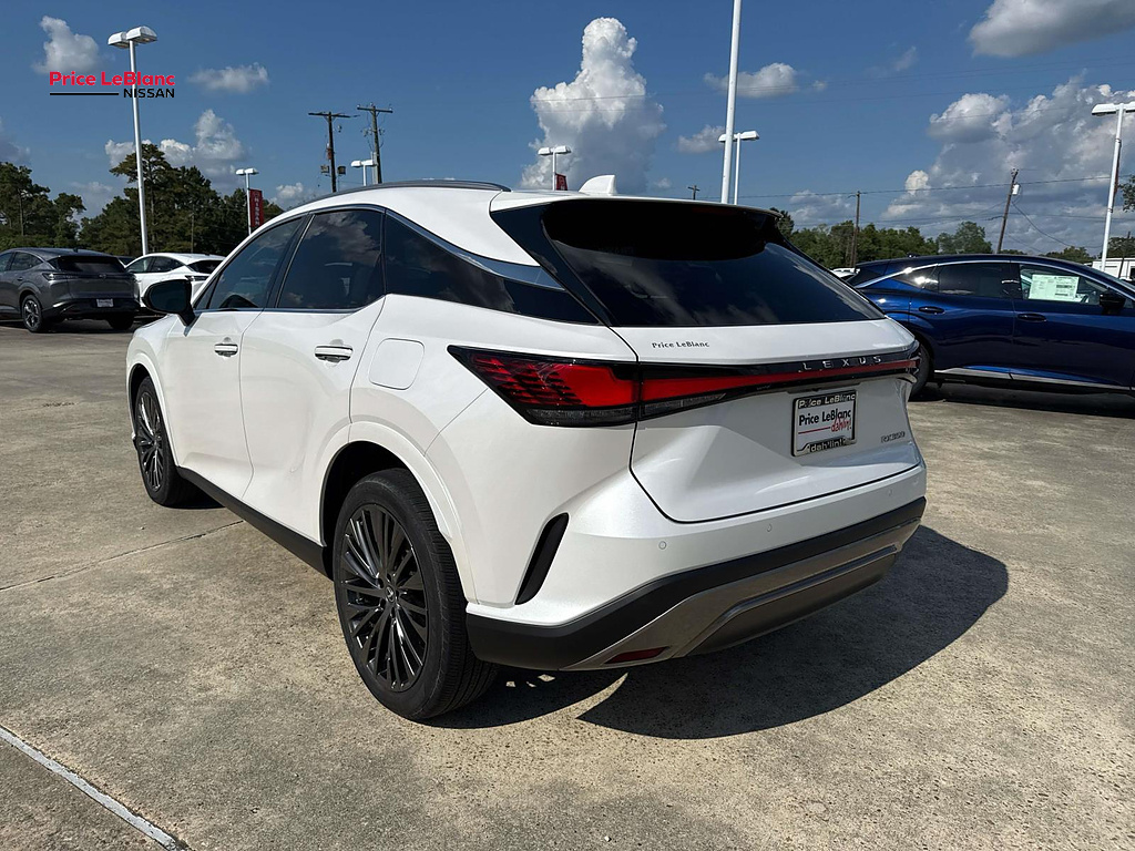 2023 Lexus RX Luxury - 4
