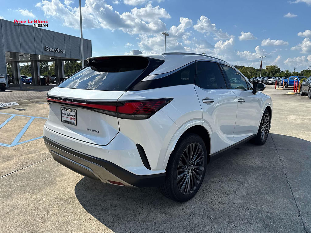 2023 Lexus RX Luxury - 6