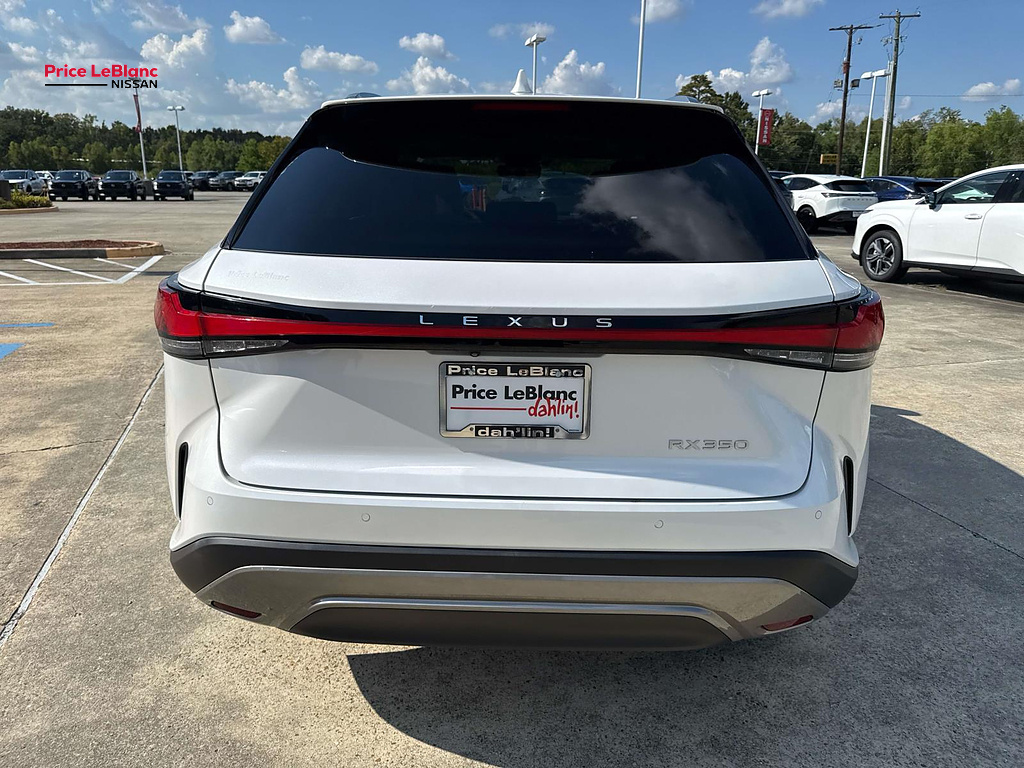 2023 Lexus RX Luxury - 5
