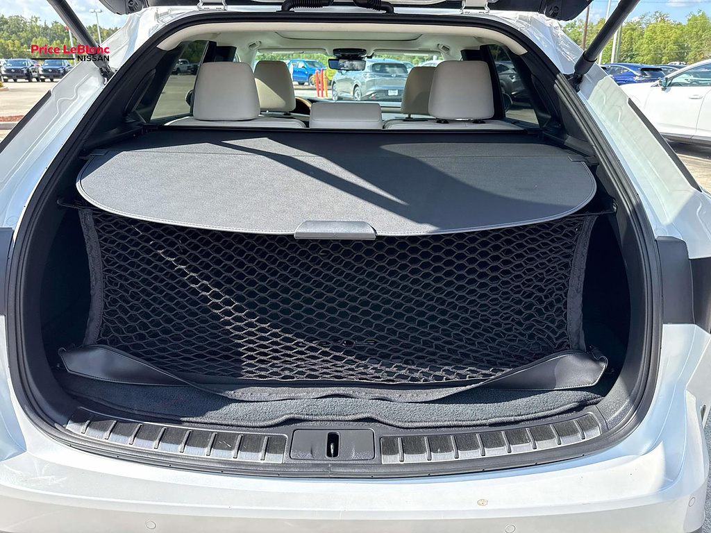 2023 Lexus RX Luxury - 7