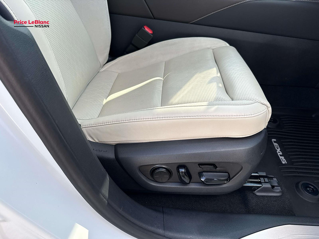 2023 Lexus RX Luxury - 11